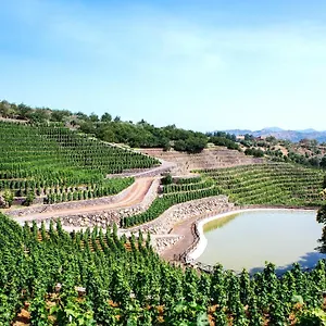 La Gelsomina - Etna Alloggio per agriturismo Presa